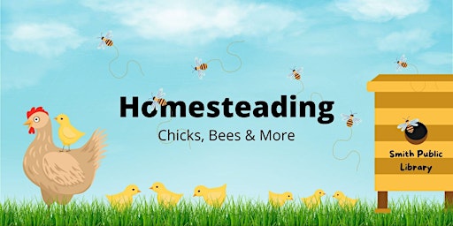 Homesteading: Chicks, Bees & More