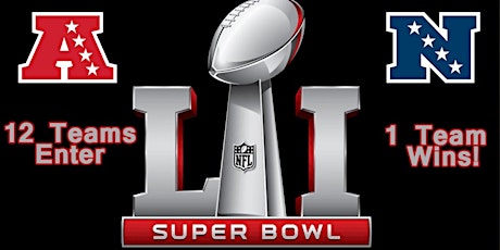 Atlanta Falcons Super Bowl L I primary image