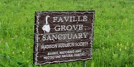 Faville Grove Tour and lunch tickets