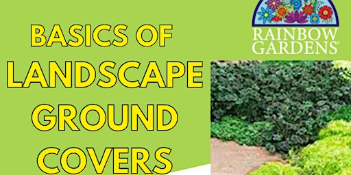 Basics of Landscape Ground Covers
