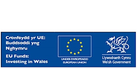 Cymorth a Chyllid ar gyfer Ymchwil ac Arloesi:  Beth sydd angen i fusnesau Cymru ei wybod? / Support and Funding for Research and Innovation: What Welsh businesses need to know primary image