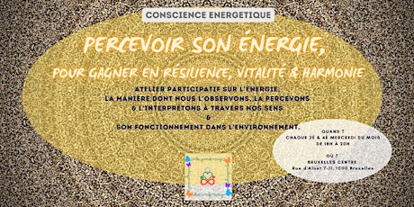 Primaire afbeelding van PERCEPTION ENERGETIQUE : pour plus de RESILIENCE, VITALITE, HARMONIE