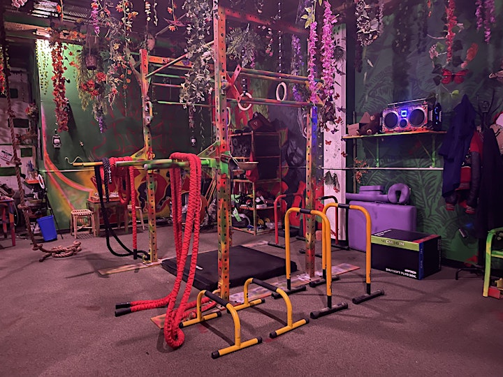 Ape's Clubhouse "THE MIND, BODY, & SPIRIT GYM image