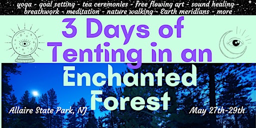 3 Days of Tenting in an Enchanted Forest