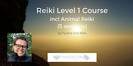 Reiki level 1 course (first degree) including  Animal Reiki 5 Sessions tickets