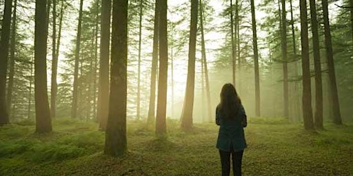 Forest Bathing with Myriam Desmarquis