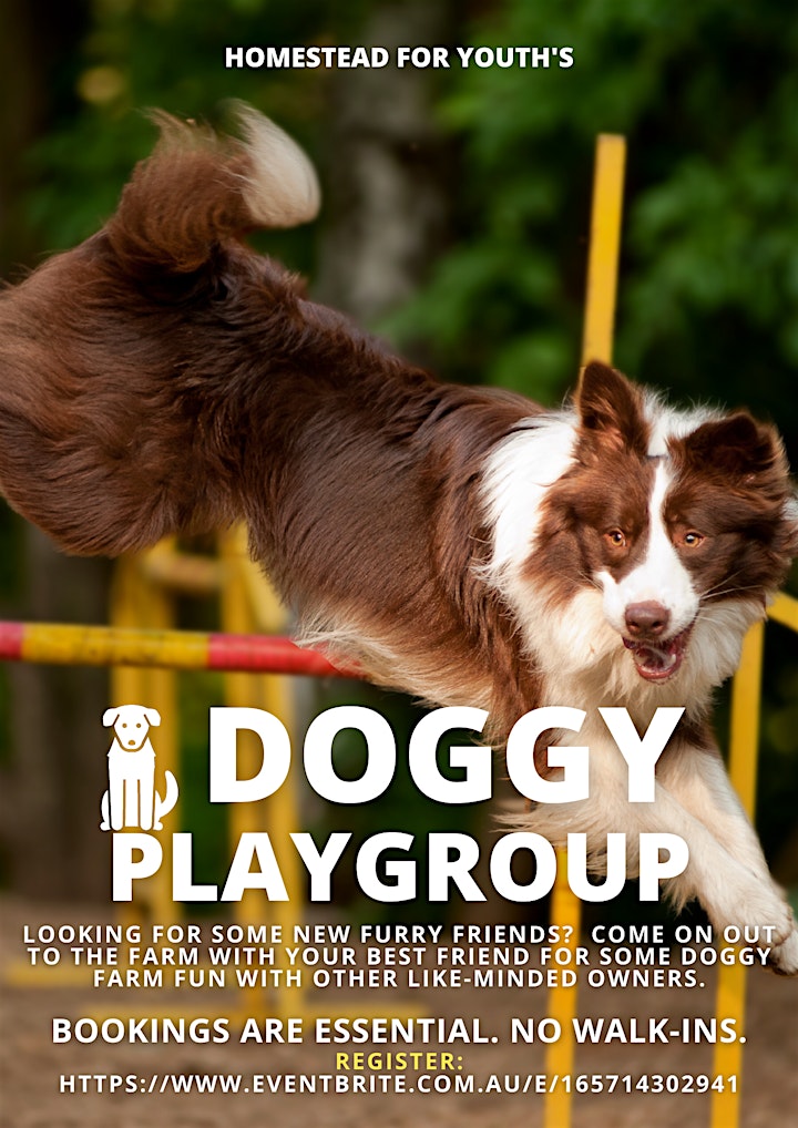 Doggy Play Group image
