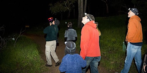 Creatures of the night -  Morialta Conservation Park ranger-guided walk