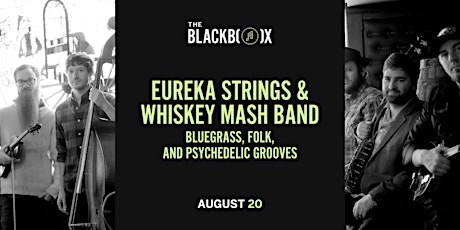 Eureka Strings & Whiskey Mash Band: Bluegrass, Folk, and Psychedelic Groove
