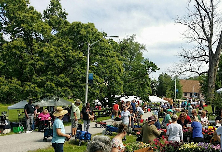 Baltimore Herb Festival 2022 image