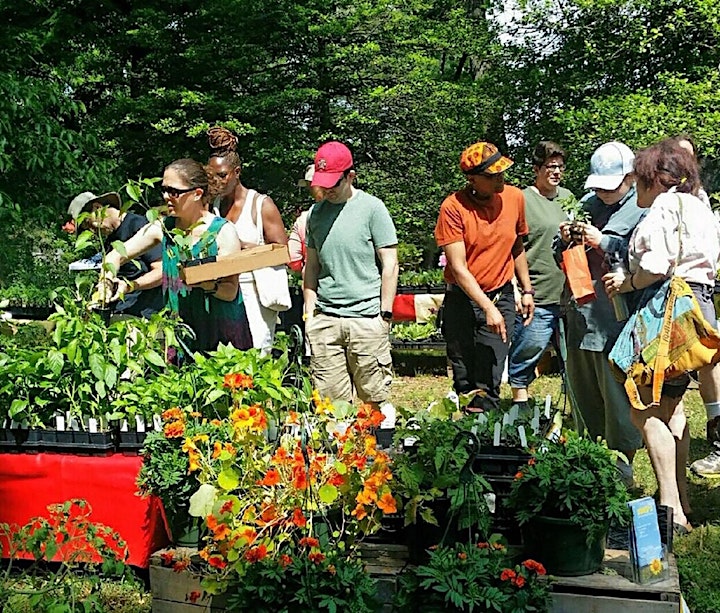 Baltimore Herb Festival 2022 image