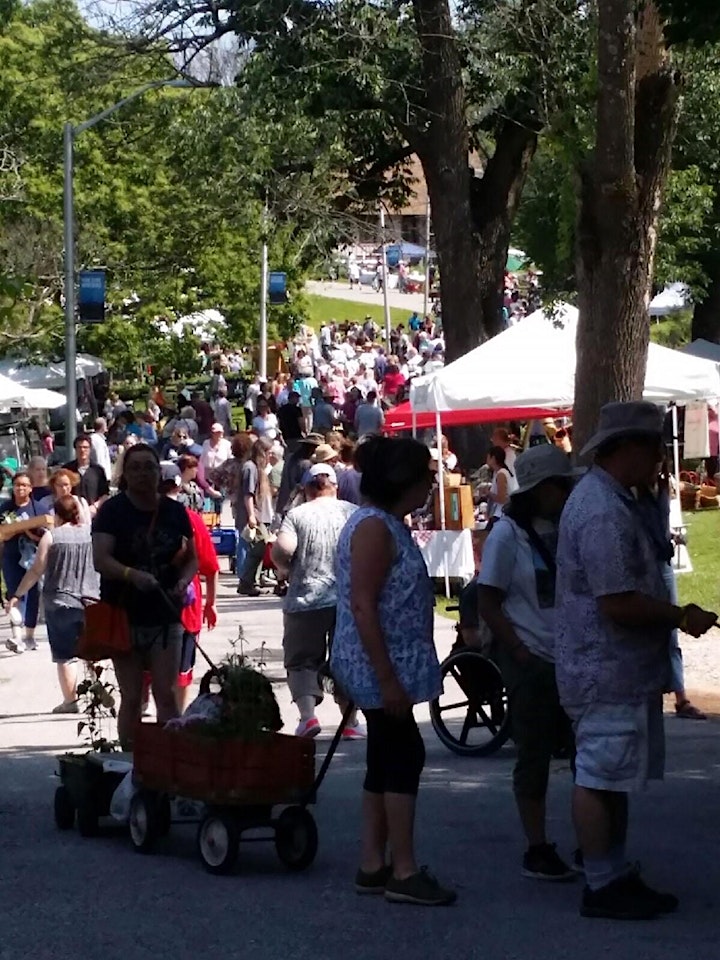 Baltimore Herb Festival 2022 image