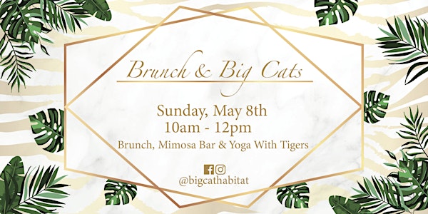 Brunch & Big Cats: Mother's Day Edition