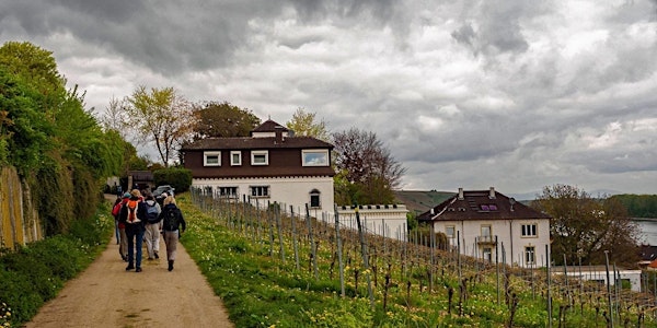 Mo,06.06.22 Wanderdate Single Wandern Weinprobe im Roten Hang für 50+