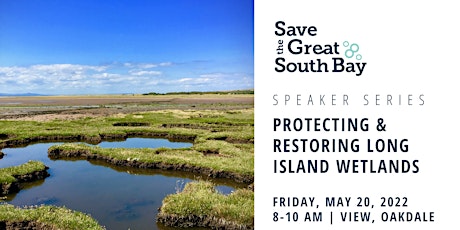 Imagen principal de Protecting Long Island's Wetlands