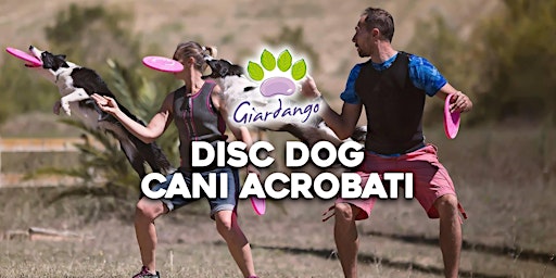 Disc Dog Cani Acrobati