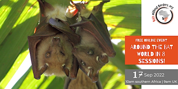 Around the bat world in eight sessions  - donation of your choice