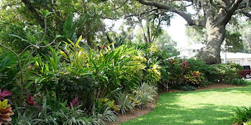 Florida-Friendly Landscaping™ for Wildlife and Pollinators