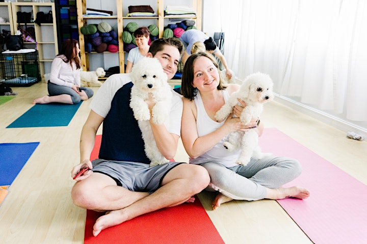 Puppy Yoga by Yoga Kawa - Father's Day family fun image