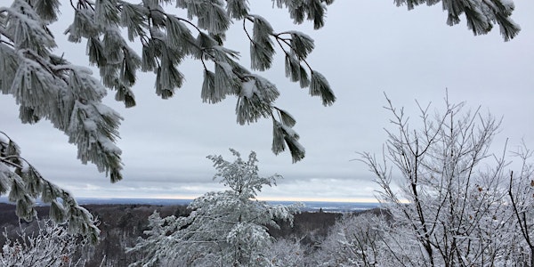 Heart of Winter Mindfulness in Nature Retreat**