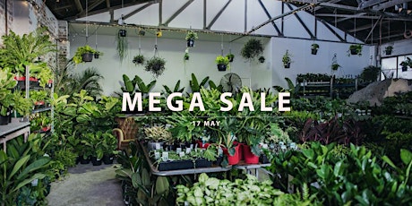 Jungle Collective - Australia’s Biggest Online Indoor Plant Sale! Tickets