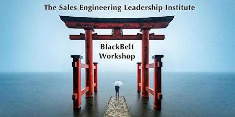 The SE Leadership Institute BlackBelt Leadership Workshop