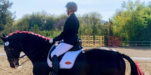 Introduction to Dressage