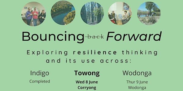 Corryong: Exploring resilience across Indigo, Towong and Wodonga