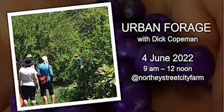 Urban Forage with Dick Copeman tickets