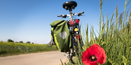 Primaire afbeelding van Kustsafari: Fietstocht door Koksijde op zoek naar de Big Five