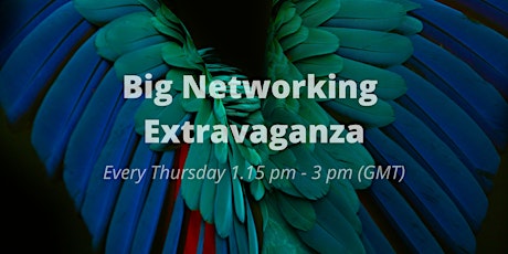 Online Networking with the Big Networking Extravaganza tickets