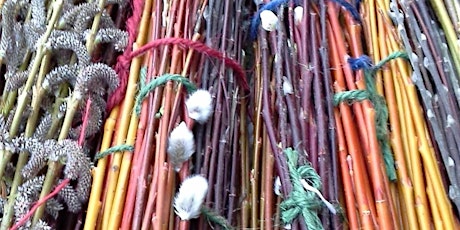 Willow  Plant Support Workshop tickets