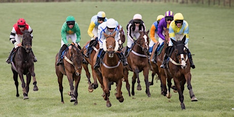 Eggesford Point-To-Point Livestream primary image