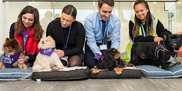 Cuddle Club Dog Therapy – meet the heroes sessions