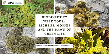 Biodiversity Week Tour: Lichens, Mosses and the Dawn of Green Life tickets