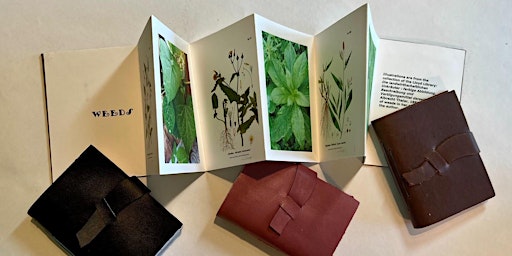 The Wild/LIFE Journal & Beyond: A Hands-on Bookmaking Workshop