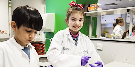 Holiday workshops: Cosmetic chemistry (ages 10–12) tickets