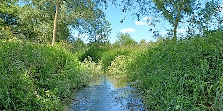 The Great Stour at Godinton