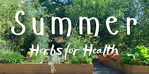 Summer Herbs for Health