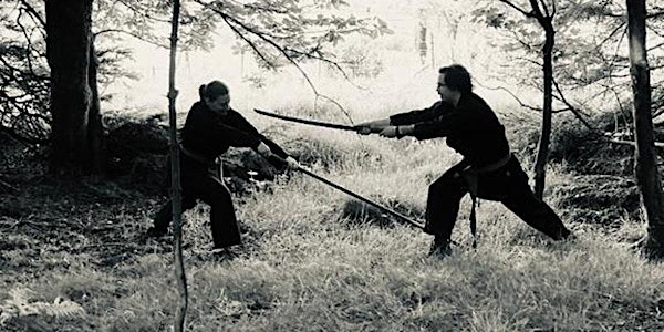Introduction: Traditional Martial Arts