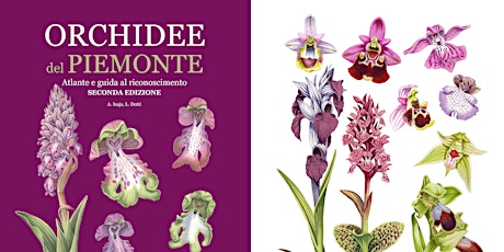 Orchidee del Piemonte tickets