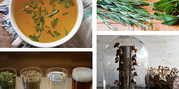 Urban Homesteading Festival & Slow Food Social
