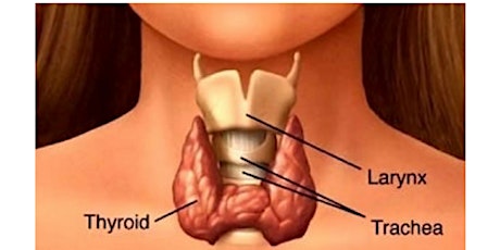 Thyroid Health Workshop primary image