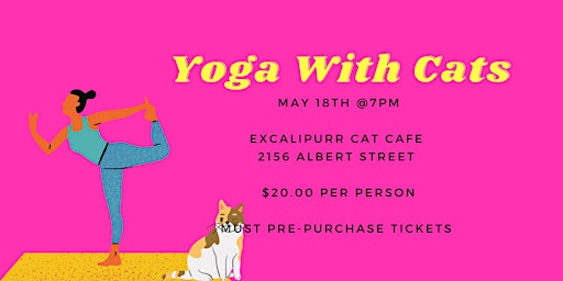 Yoga with Cats- May 18th