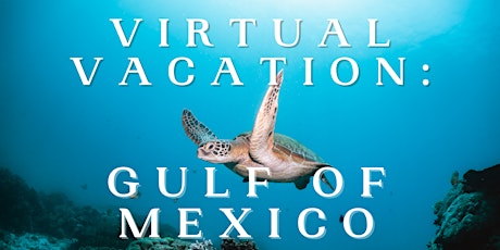 Virtual Vacation: Gulf of Mexico tickets