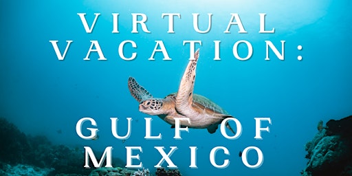 Virtual Vacation: Gulf of Mexico