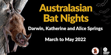 Australasian Bat Night Program - Katherine tickets