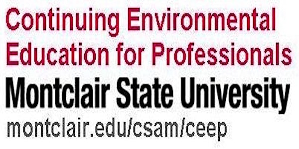 Rapid Design and Analysis of Groundwater Remediation Systems: A Hands-On Computer Workshop