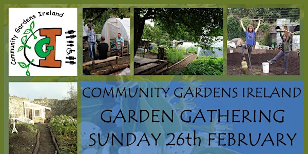 CGIreland Gathering and Orchard Workshop