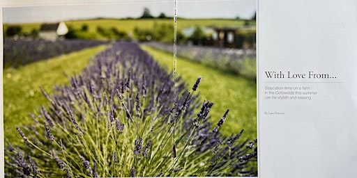 Photography Workshop at the Cotswold Lavender Fields